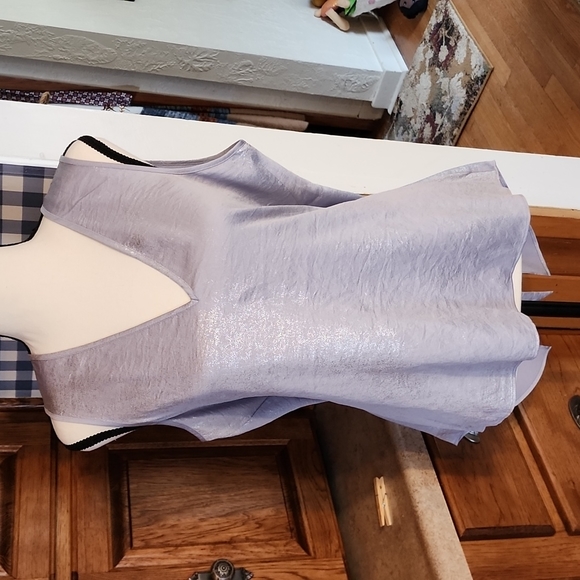 NEW Express Silver Metallic Sleeveless Blouse Size M (NWT) - Picture 6 of 10